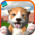 Dog Simulator 2015版本更新