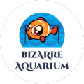 Bizarre Aquarium费流量吗