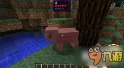 我的世界1.10.2 额外信息显示MOD下载