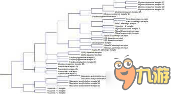 扒一扒天之游《王者军团》你所不知道的黑科技 第三辑