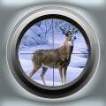 Sniper Deer Hunting Simulator中文版下载