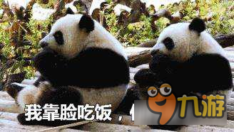 滑稽吧第十九期 啪啪啪竟能随意哄抬股价？