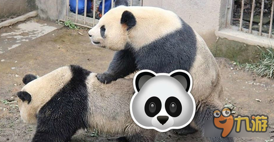 滑稽吧第十九期 啪啪啪竟能随意哄抬股价？