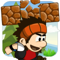 Bushy Jungle Adventures破解版下载