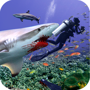 Blacktip Shark Simulator