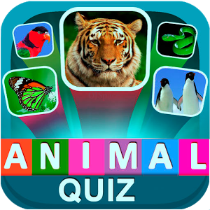 Animal Quiz