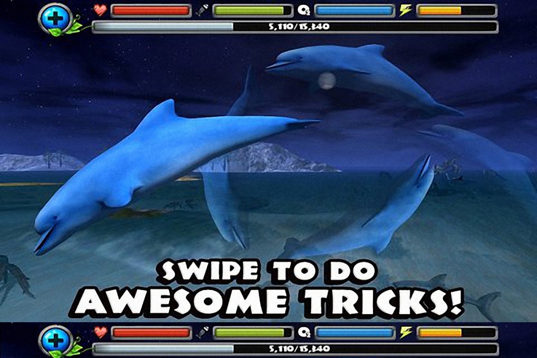 海豚模拟3D好玩吗 海豚模拟3D玩法简介