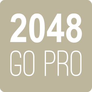 2048 Go Pro