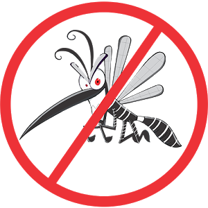 Missao Aedes