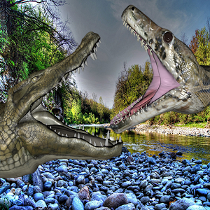 Anaconda Crocodile Battle