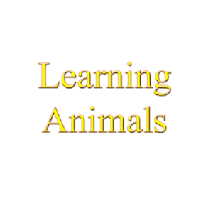 Animal Names Learning