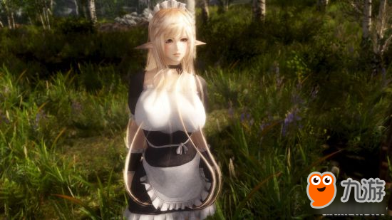 《上古卷轴5》美女随从Mod合集第3弹