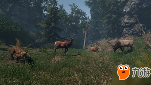 适应恶劣的生存条件《征服的荣耀》即将登陆steam平台