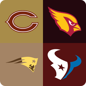 Guess The NFL Team!