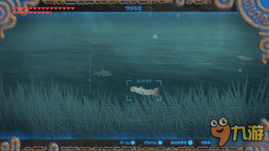 《塞尔达传说荒野之息》素材收集攻略 紧缺素材高效率收集方法
