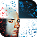 Eminem Piano Tiles无法打开