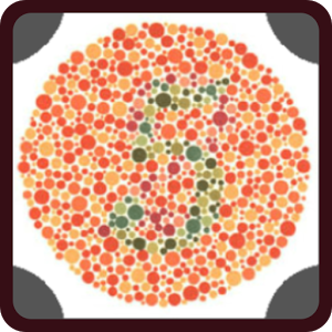 Color Number Gold Quiz