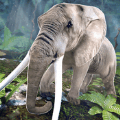 神奇大象部落酷跑安全下载
