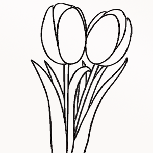 Tulip Coloring