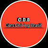 Cars Driving Brasil占内存小吗