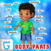 Learning The Body Parts
