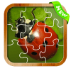 Ladybug Jigsaw Puzzle