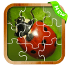 Ladybug Jigsaw Puzzleiphone版下载