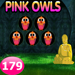 Five Pink Owl Escape Game