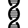 DNA ligase quiz