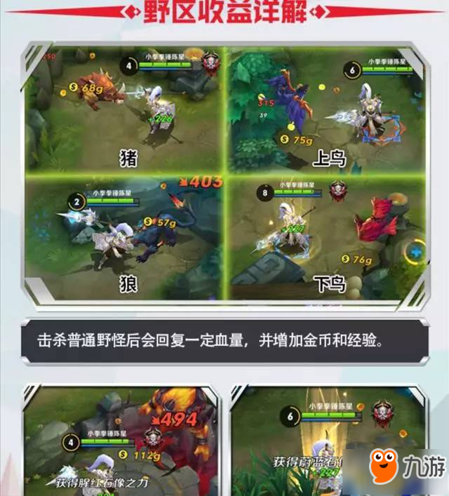 王者榮耀野區(qū)知識大全 打豬和打鳥金幣價(jià)格不同