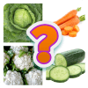 Guess Vegetable - Quiz Game版本更新