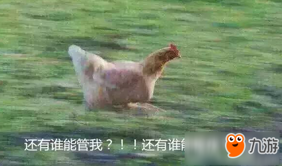 高考結(jié)束！馬頭人帶你撒歡開(kāi)擼！