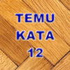 Temu Kata 12如何升级版本