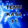 Temu Kata 11官方版免费下载