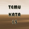 Temu Kata 13怎么安装