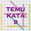 Temu Kata 9占内存小吗