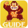 Guide For DonkeyKong