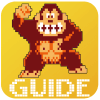 Guide For DonkeyKong官方下载