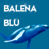 Balena Blu