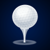 Night Golf Tournaments官方版免费下载