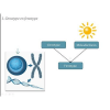 Genotype quiz最新安卓下载