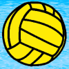 Waterpolo Manager FREE版本更新