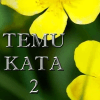 Temu Kata 2绿色版下载