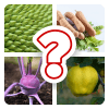 Name that Fruit and Vegetable最新安卓下载