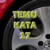 Temu Kata 17破解版下载