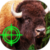 Animal Wild Hunting