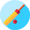 Mini Cricket费流量吗