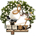 萌猫来了