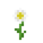 [植物和其他]花
