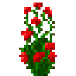 [材料和染料]玫瑰红